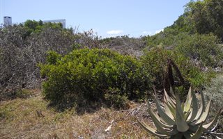 654 m² Land available in Boggomsbaai