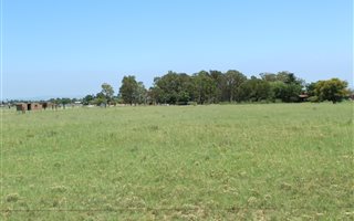 2.3 ha Land available in Nelsonia