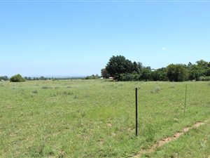 2.3 ha Land available in Nelsonia