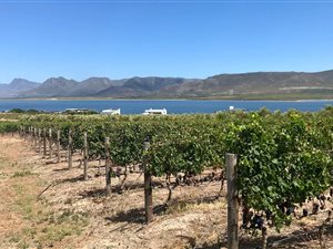 3907 m² Land available in Benguela Cove