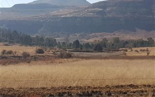 770 m² Land available in Fouriesburg