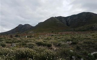 544 m² Land available in Onrus