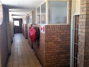 Bachelor apartment in Kempton Park Central