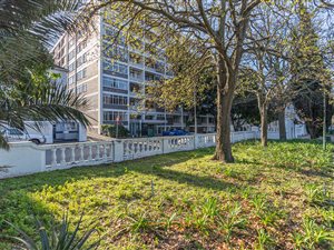 Studio Apartment in Cape Town City Centre