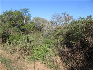 1328 m² Land available in Bathurst and Surrounds