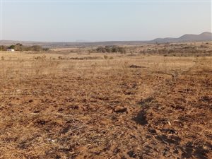 8.6 ha Farm in Leeukuil AH