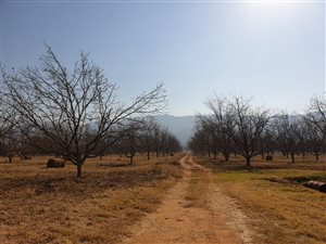 96.7 ha Farm in Krugersdorp Central