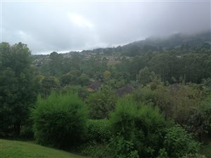 3 Bedroom Simplex in Montrose