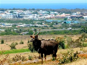 1596 m² Land available in Hartenbos