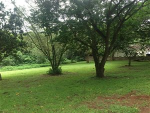 1000 m² Land available in Mtunzini