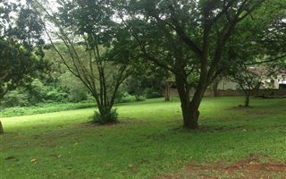 1000 m² Land available in Mtunzini