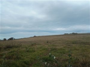 4890 m² Land available in Pacaltsdorp