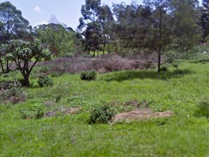6165 m² Land available in Monteseel