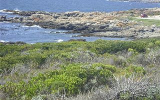 Commercial space in Gansbaai and surrounds