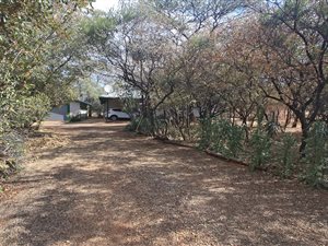 21 ha Farm in Bela-Bela (Warmbaths)