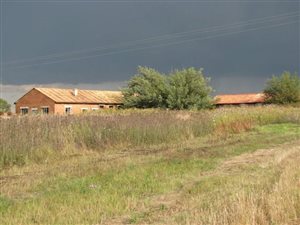 30 ha Farm in Bapsfontein