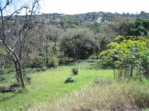 5933 m² Land available in Astra Park