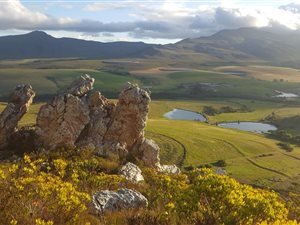 159.2 ha Farm in Klein Brak River
