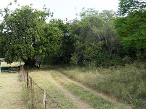3 ha Farm in Bela-Bela (Warmbaths)