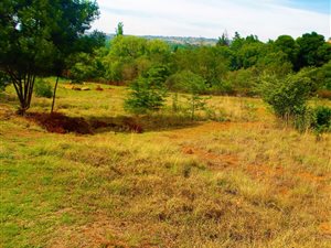 1 ha Land available in Mooikloof Equestrian Estate