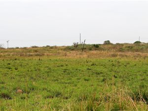 7 ha Farm in Shakaskraal