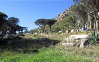 8565 m² Land available in Penzance Estate