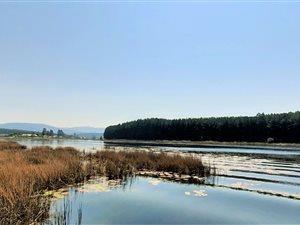 3922 m² Land available in Cramond