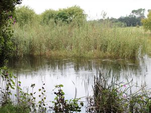 42 ha Farm in Ventersdorp