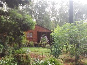 Smallholding in Bapsfontein