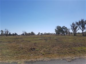 4 ha Land available in Homestead Apple Orchards