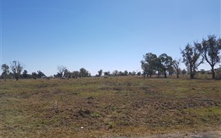 4 ha Land available in Homestead Apple Orchards