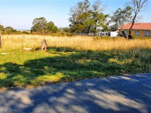 614 m² Land available in King Williams Town