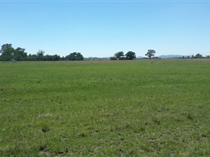 2.6 ha Land available in Boltonwold