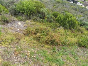 627 m² Land available in Seemeeu Park