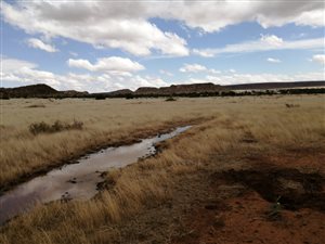 748 ha Farm in Fauresmith