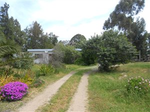 2920 m² Farm in Malmesbury