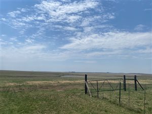 209 ha Farm in Ermelo