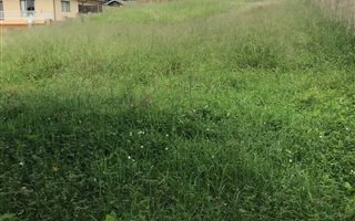 1247 m² Land available in Salt Rock