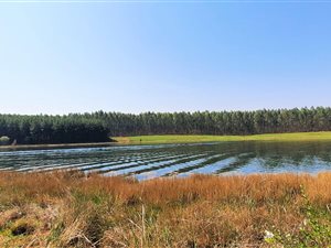 3258 m² Land available in Cramond