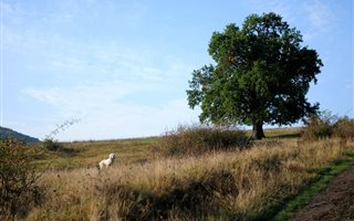 2.5 ha Land available in Sasolburg