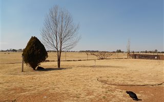 8.6 ha Farm in Bainsvlei