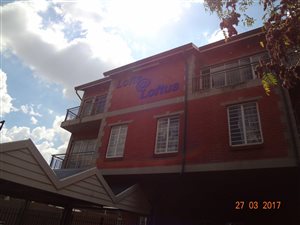 1 Bedroom Apartment in Arcadia
