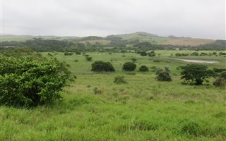 1435 m² Land available in Mtunzini