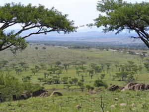 415 ha Farm in Estcourt