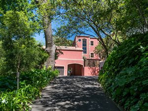 6 Bed House in Higgovale
