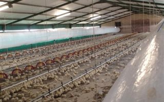 260 m² Commercial space in Zeerust