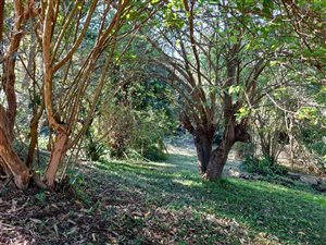 4839 m² Land available in Fernridge