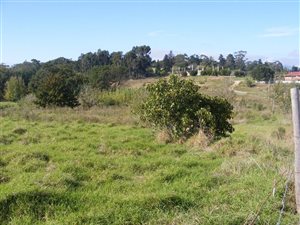 2848 m² Land available in Caledon