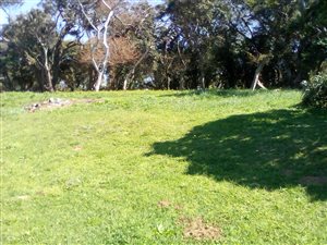 4047 m² Land available in Sunwich Port