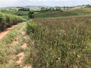 5.4 ha Farm in Shakaskraal